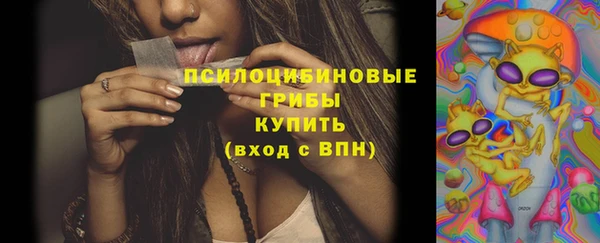 шишки Магадан