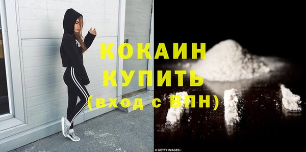 шишки Магадан