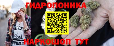 дживик Берёзовский