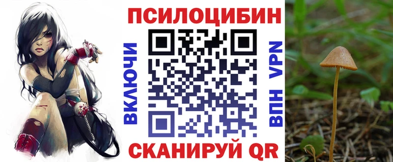 Псилоцибиновые грибы Magic Shrooms  где найти   ссылка на мегу онион  Брянск 