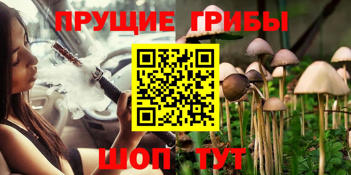 Галлюциногенные грибы Psilocybine cubensis Брянск