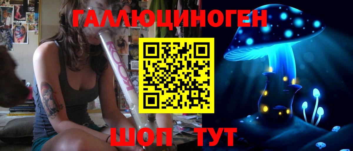 Галлюциногенные грибы Psilocybe Брянск