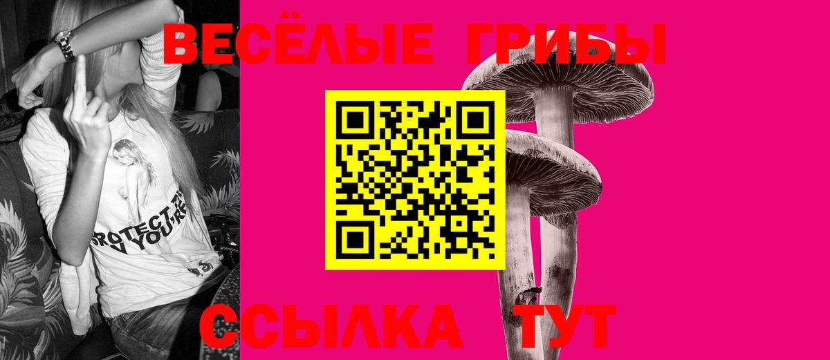 Брянск  Псилоцибиновые грибы MAGIC MUSHROOMS  Вход с VPN  Псилоцибиновые грибы MAGIC MUSHROOMS 