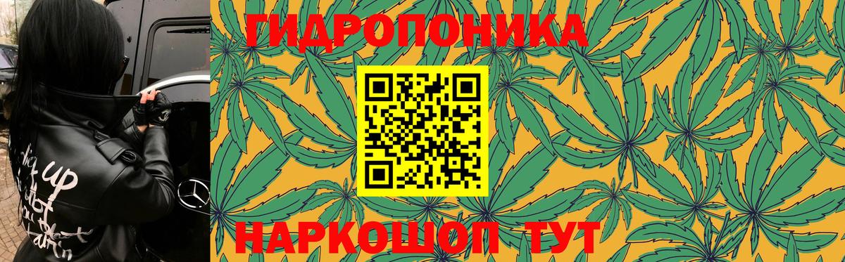 Бошки марихуана индика  Вход с VPN  Шишки марихуана Amnesia  Каннабис LSD WEED  Бошки Шишки Bruce Banner  Брянск 